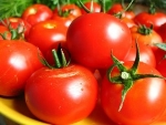 45104926_1236431612_pomidory